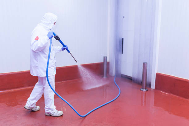 Reliable Memphis, TX Pressure Washing Services Solutions